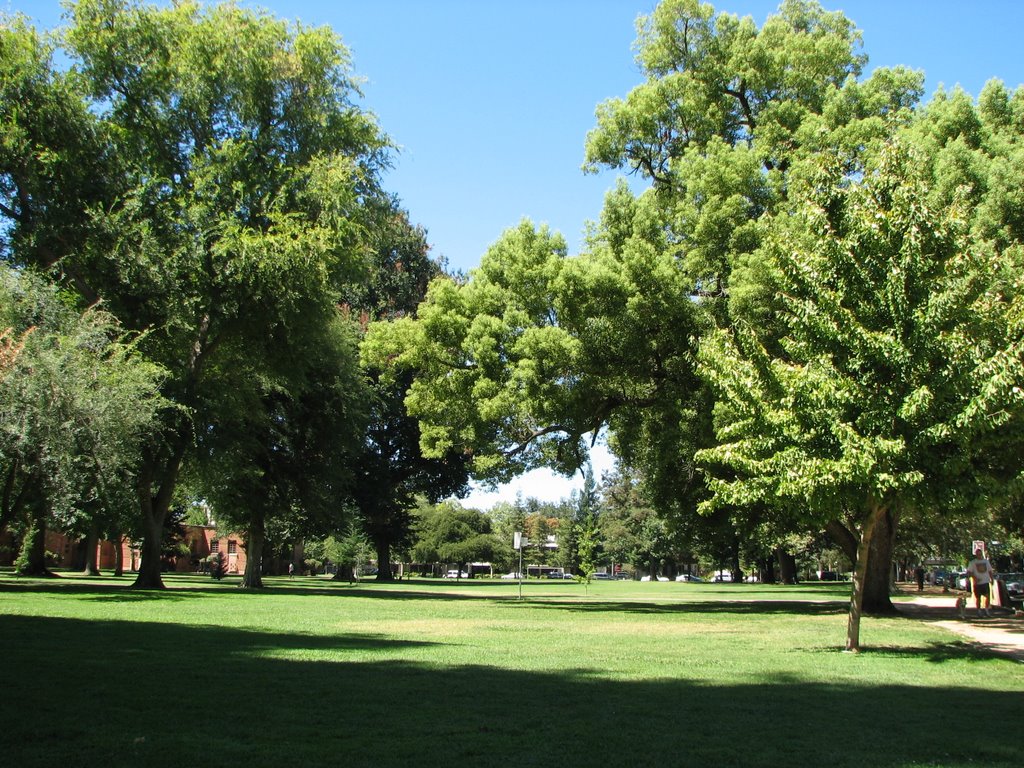 McKinley Park in East Sacramento